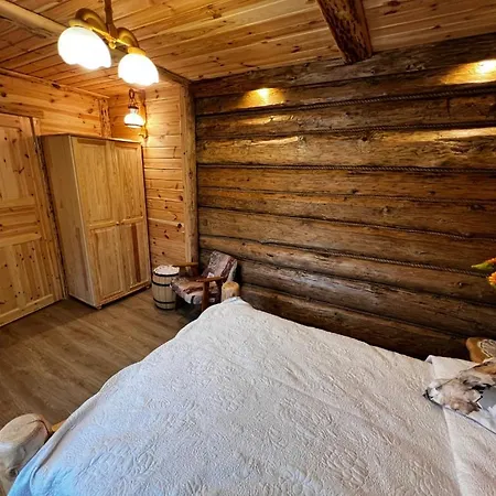 Bieszczady Noclegi Muzyczna Chata Olszanica Zewnętrze zdjęcie